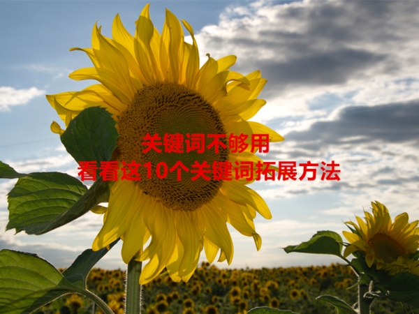 關(guān)鍵詞不夠用，看看這10個關(guān)鍵詞拓展方法！