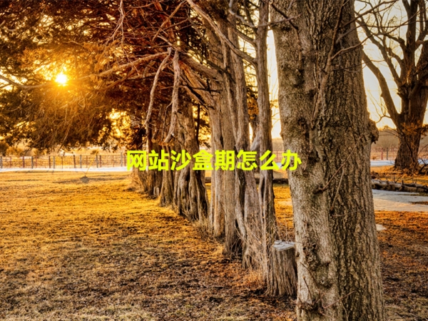 網(wǎng)站沙盒期怎么辦？